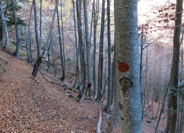 PP Planica - Tamar  24.10.2018 - foto