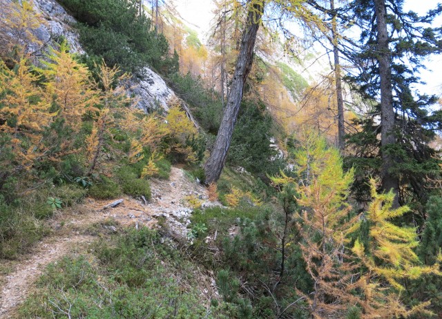PP Planica - Tamar  24.10.2018 - foto