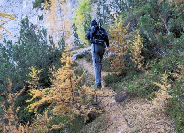 PP Planica - Tamar  24.10.2018 - foto