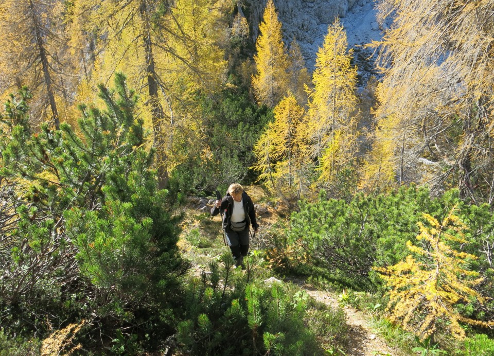 PP Planica - Tamar  24.10.2018 - foto povečava