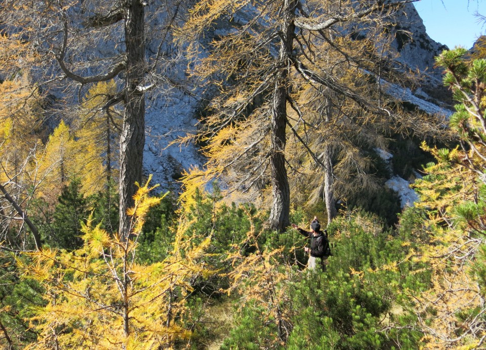 PP Planica - Tamar  24.10.2018 - foto povečava