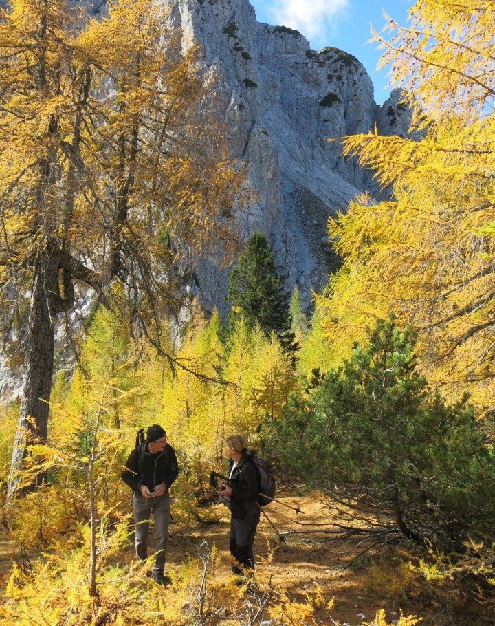 PP Planica - Tamar  24.10.2018 - foto povečava