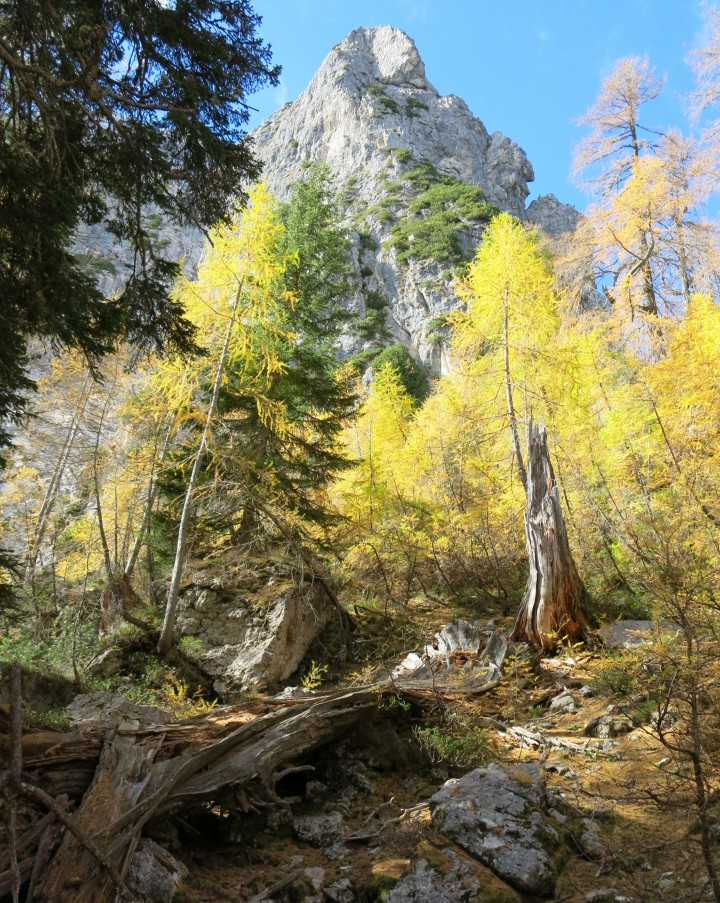 PP Planica - Tamar  24.10.2018 - foto povečava