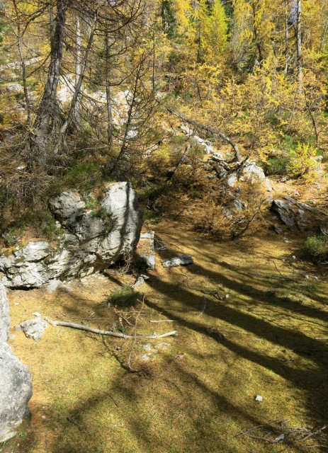 PP Planica - Tamar  24.10.2018 - foto