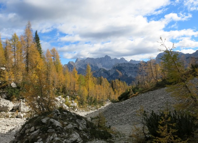 PP Planica - Tamar  24.10.2018 - foto