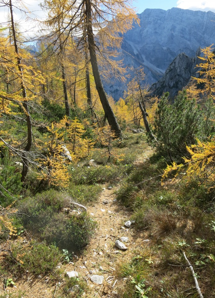 PP Planica - Tamar  24.10.2018 - foto povečava