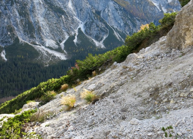 PP Planica - Tamar  24.10.2018 - foto