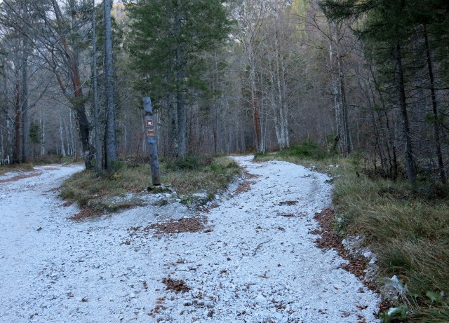 PP Planica - Tamar  24.10.2018 - foto