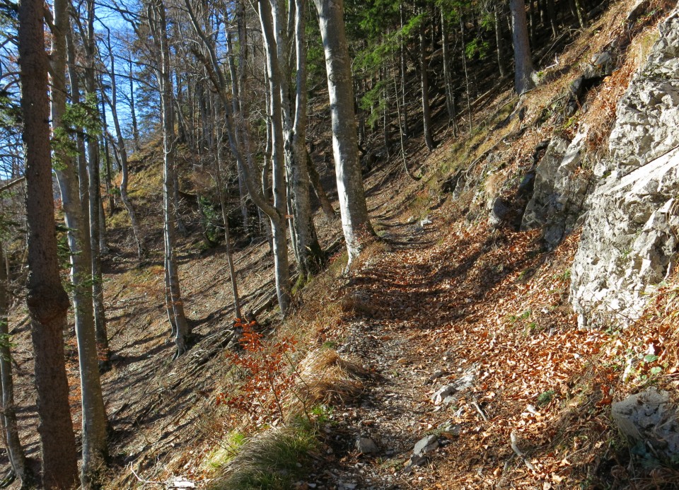 Bornovi tuneli 03.12.2018 - foto povečava