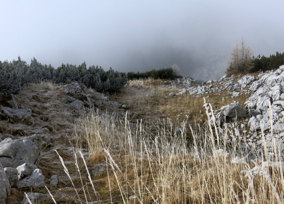 Debela peč  18.11.2018 - foto povečava