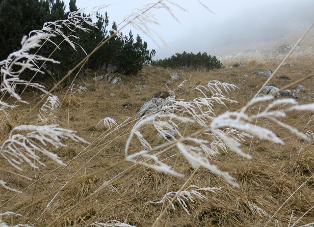 Debela peč  18.11.2018 - foto