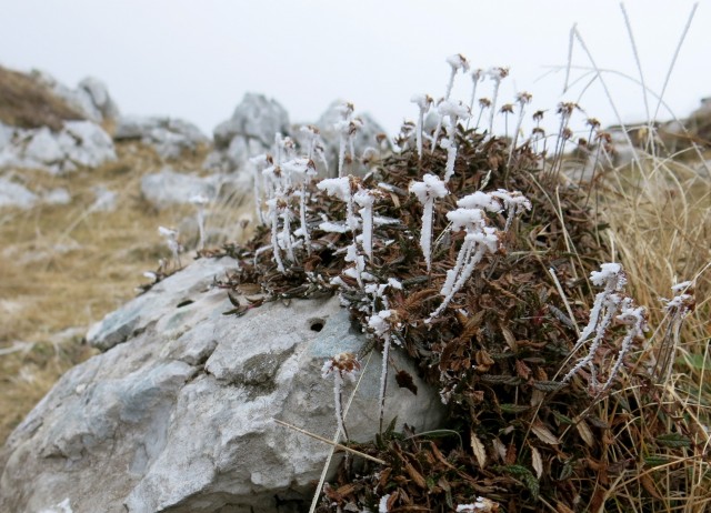 Debela peč  18.11.2018 - foto