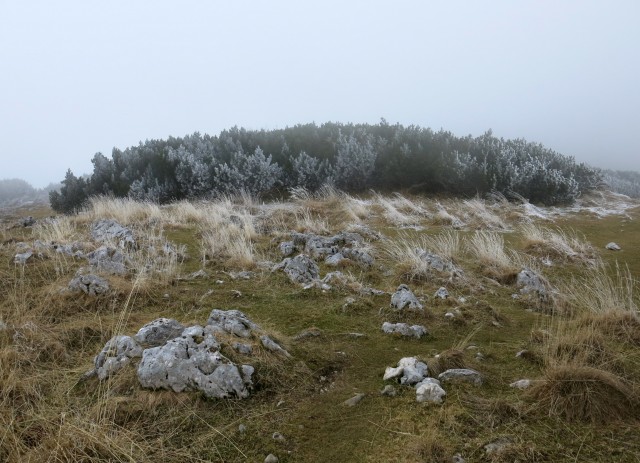 Debela peč  18.11.2018 - foto