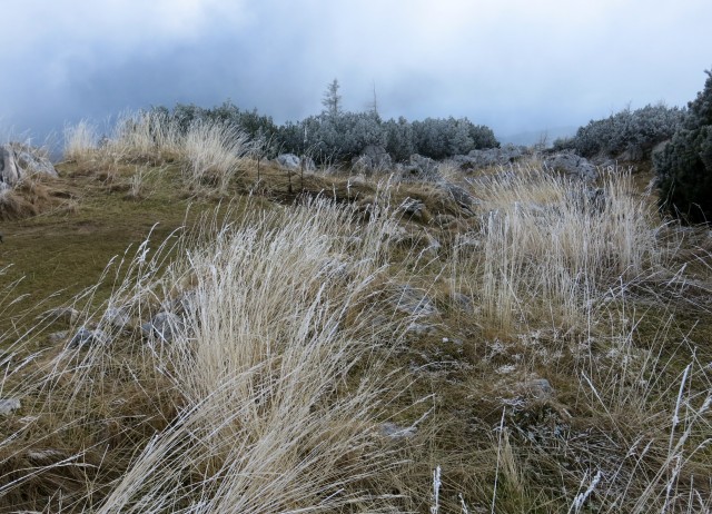 Debela peč  18.11.2018 - foto