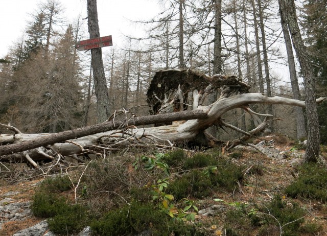 Debela peč  18.11.2018 - foto