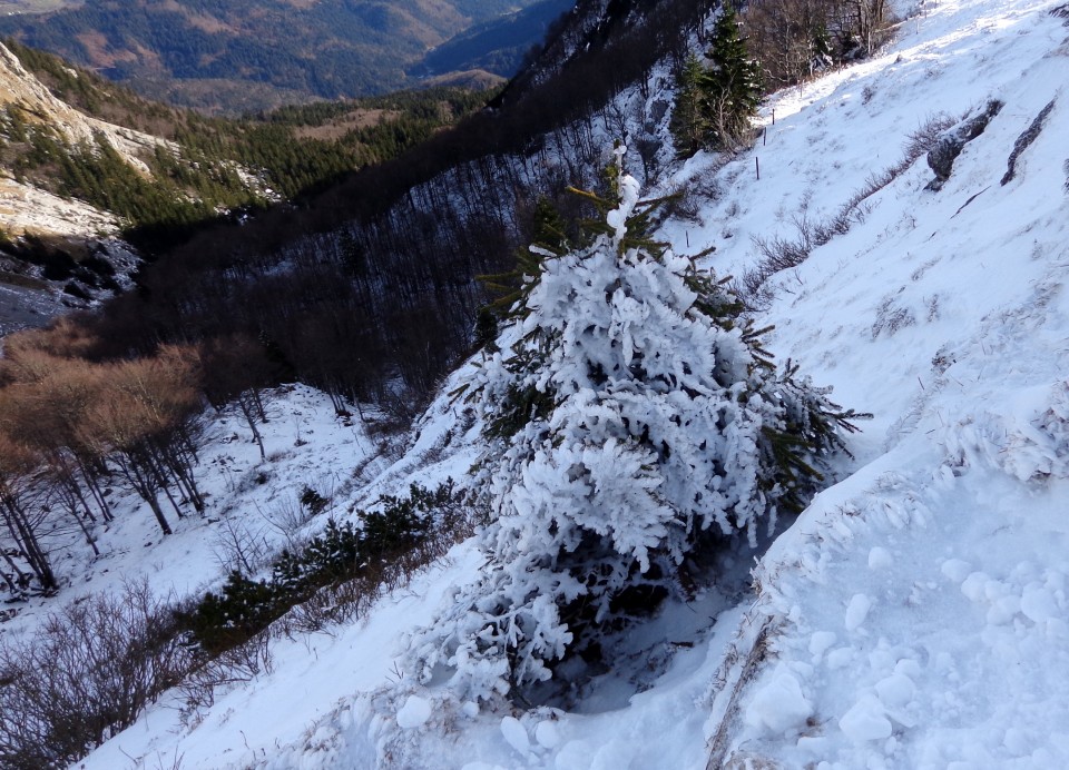 Ratitovec + F + S + mi2,  23.12.2018 - foto povečava