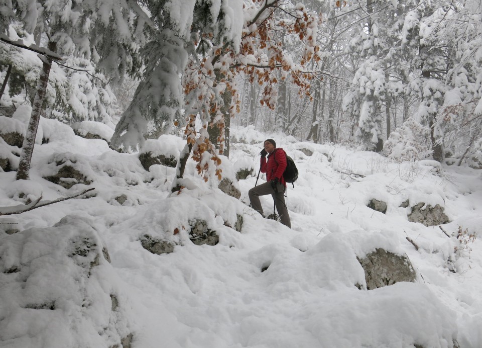 Lubnik iz breznce    20.01.2019 - foto povečava