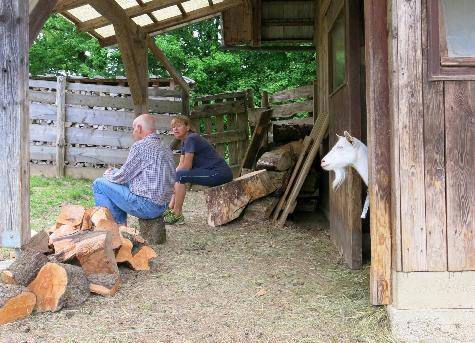 Na Hribcu 02.05.2018 - foto povečava