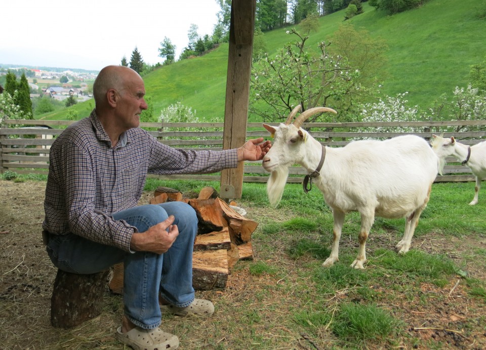 Na Hribcu 02.05.2018 - foto povečava