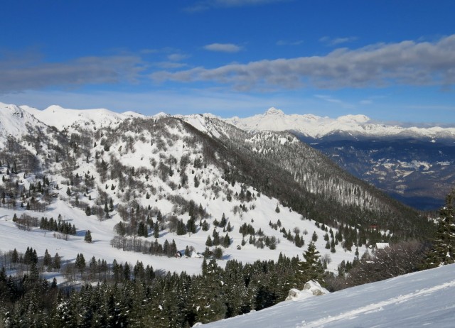 Sorška pl.  05.01.20019 - foto