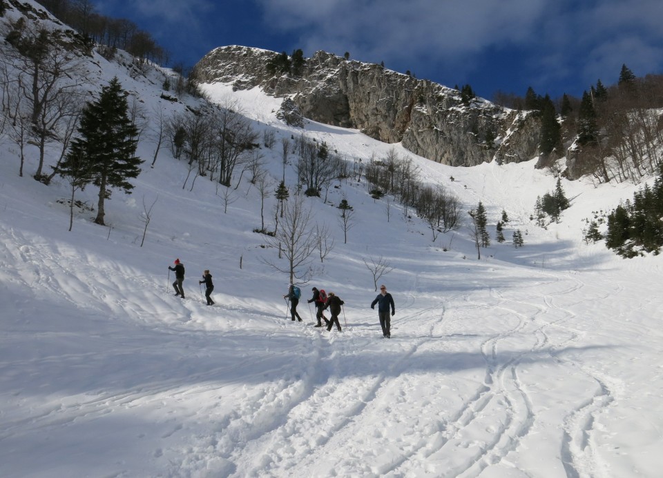 Ratitovec    08.02.2019 - foto povečava