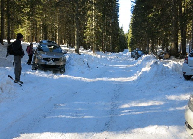 Lipanica 17.02.2019 - foto