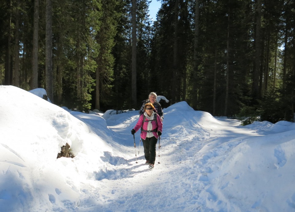 Lipanica 17.02.2019 - foto povečava