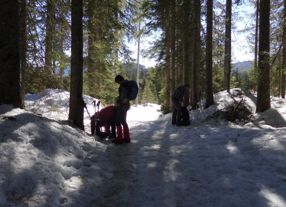 Lipanica 17.02.2019 - foto povečava