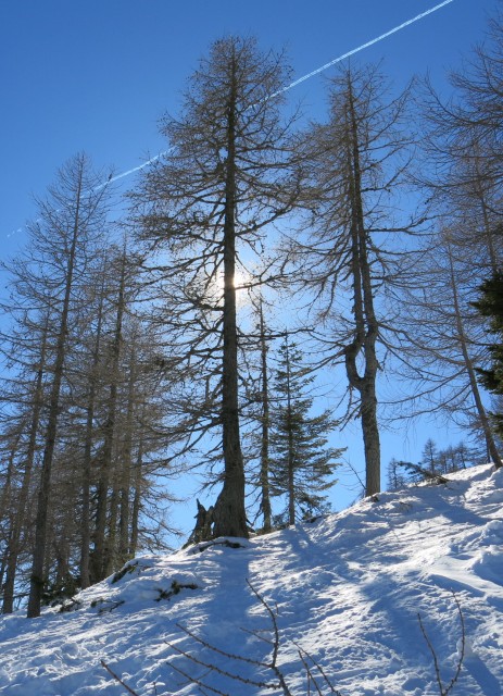 Lipanica 17.02.2019 - foto