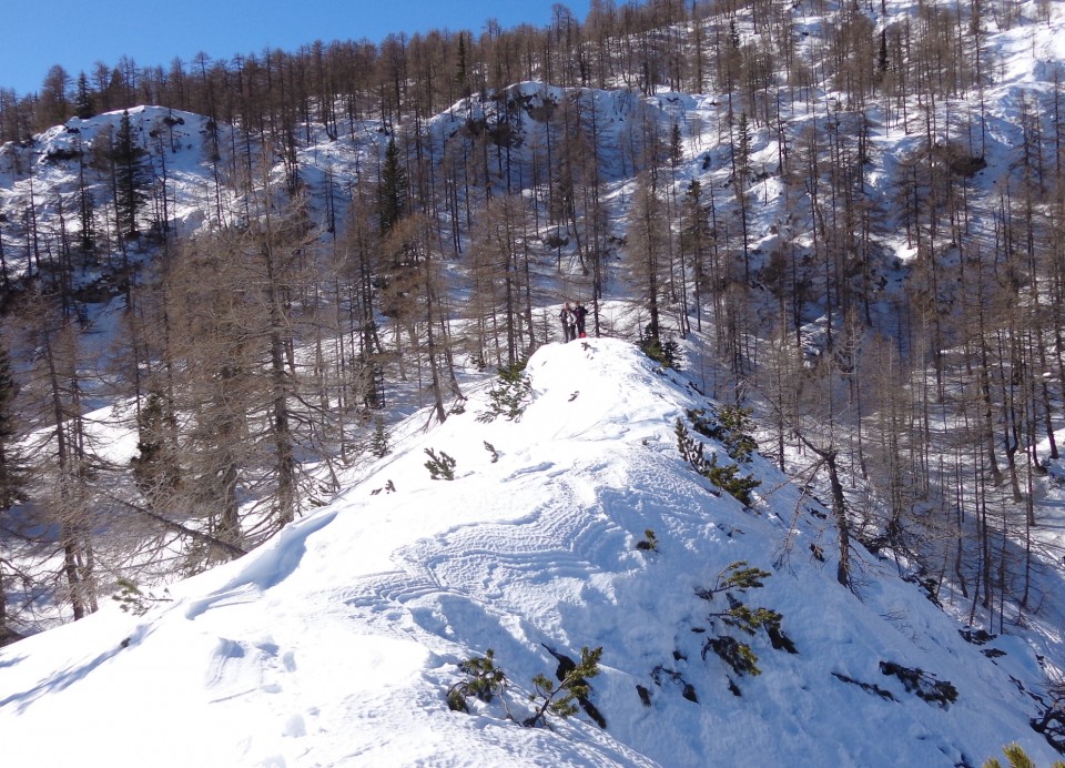 Lipanica 17.02.2019 - foto povečava