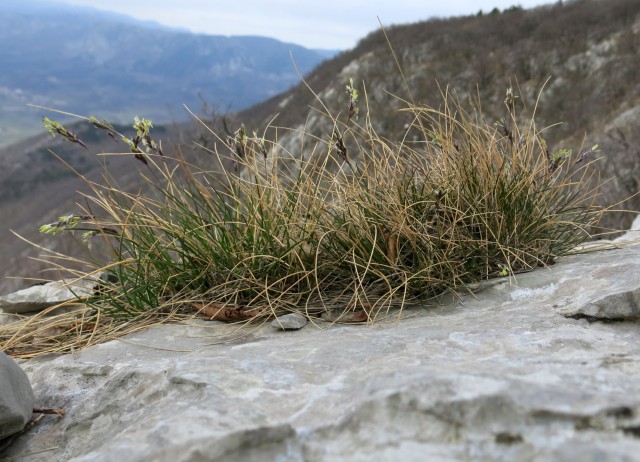 Gradiška tura  17.03.2019 - foto