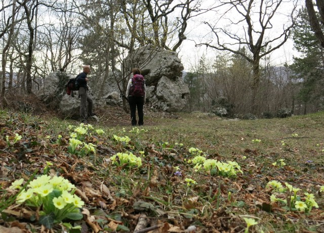 Gradiška tura  17.03.2019 - foto