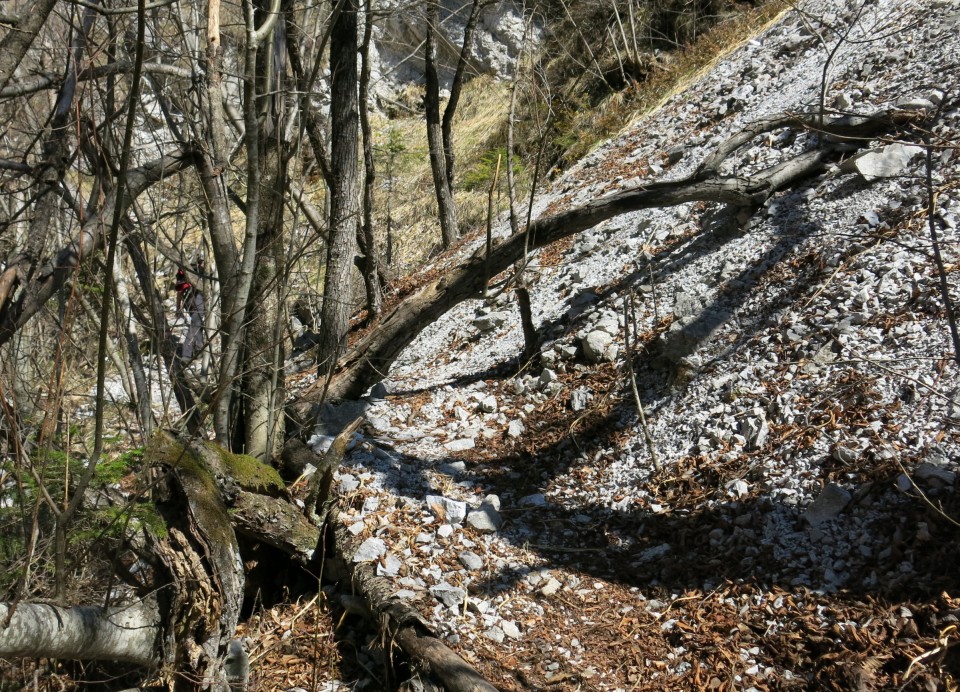 Korošaški slapovi ... 24.03.2019 - foto povečava