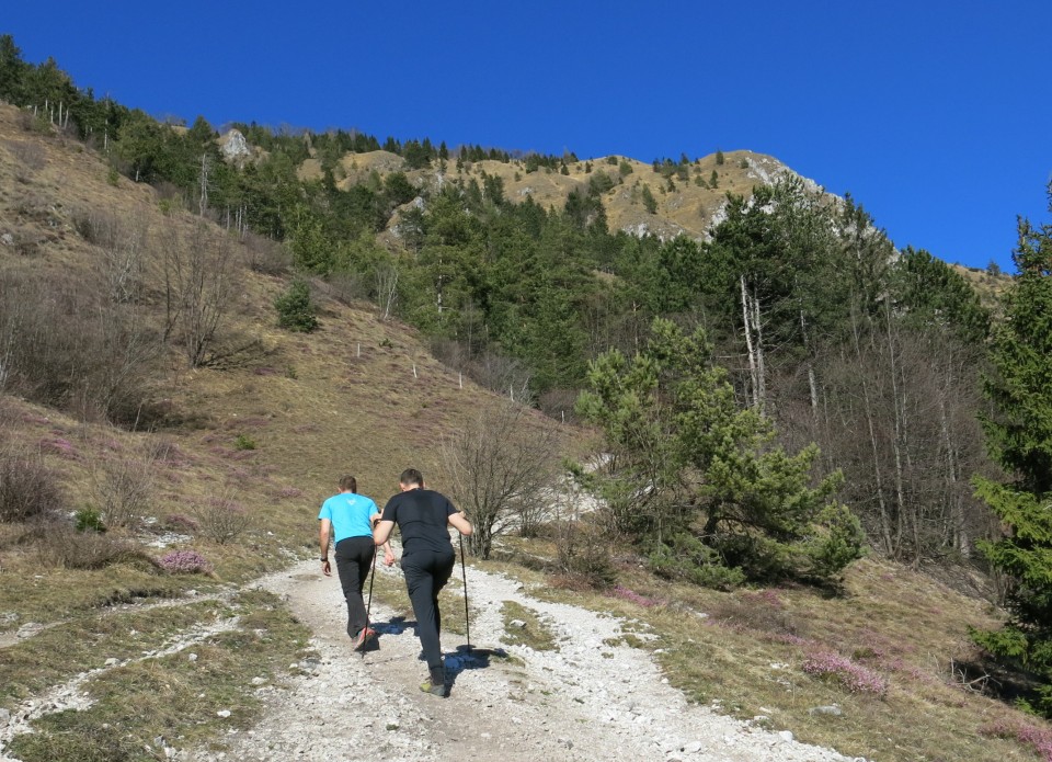 Korošaški slapovi ... 24.03.2019 - foto povečava