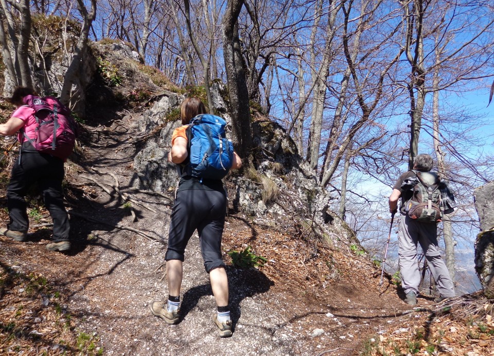 Jetrbenk 30.03.2019 - foto povečava