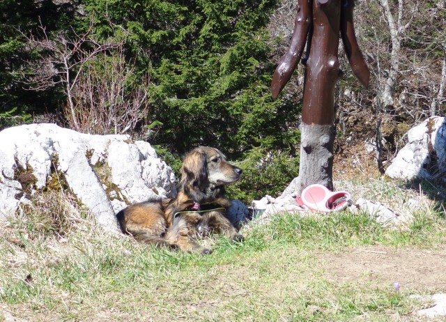 Kališče s Silvo  19.04.2019 - foto