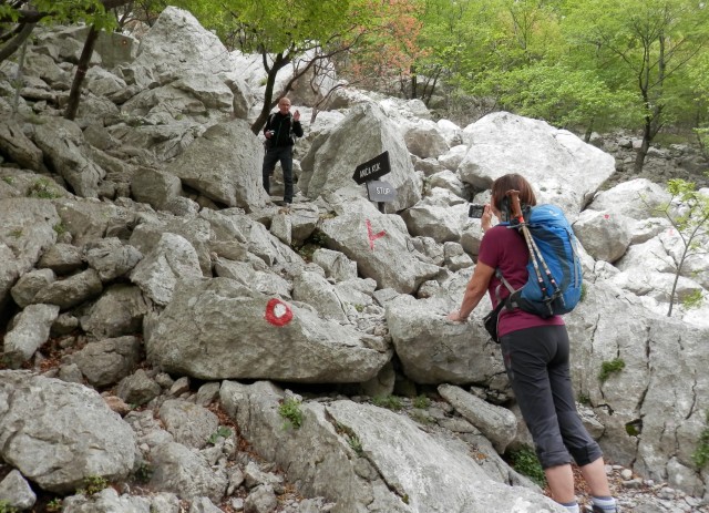 ANIČA KUK   23.04.2019 - foto