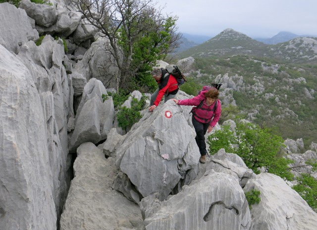 ANIČA KUK   23.04.2019 - foto