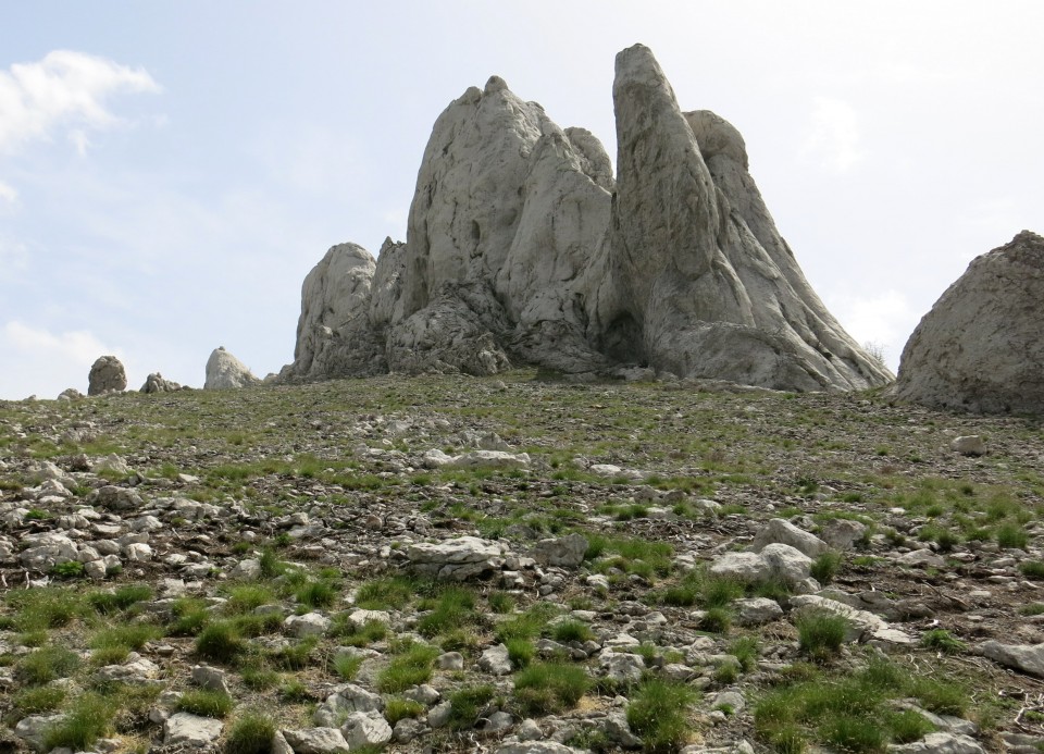 Tulove grede  26.04.2019 - foto povečava