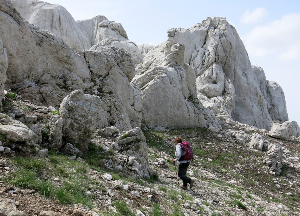 Tulove grede  26.04.2019 - foto povečava