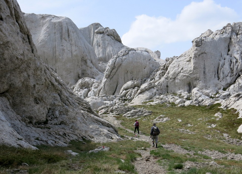 Tulove grede  26.04.2019 - foto povečava