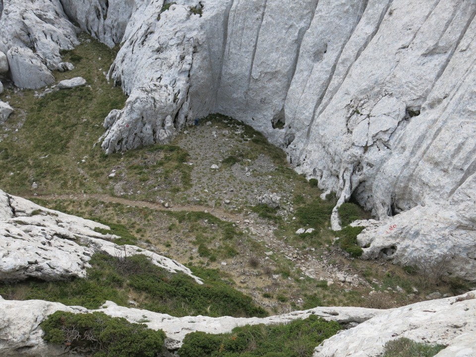 Tulove grede  26.04.2019 - foto povečava