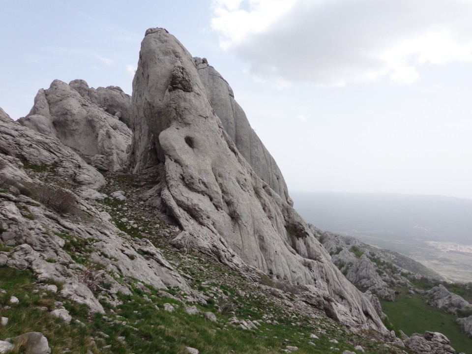 Tulove grede  26.04.2019 - foto povečava