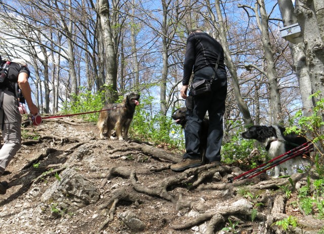 Silvina vleka na Tošč  01.05.2019 - foto