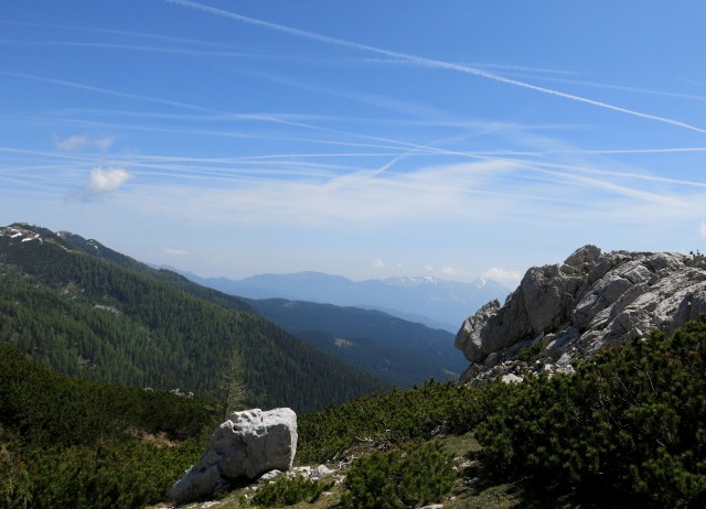 Kačji rob   09.06.2019 - foto