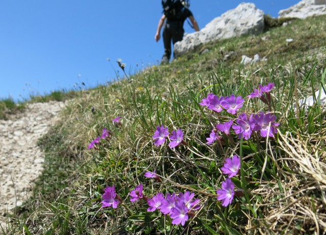 Kačji rob   09.06.2019 - foto