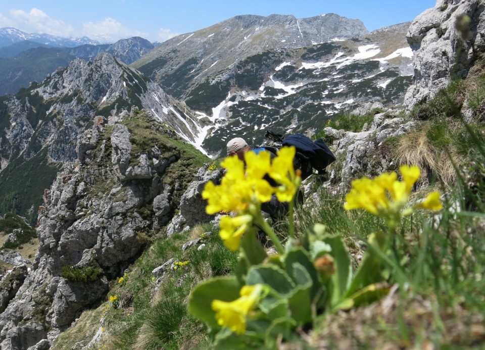 Kačji rob   09.06.2019 - foto povečava