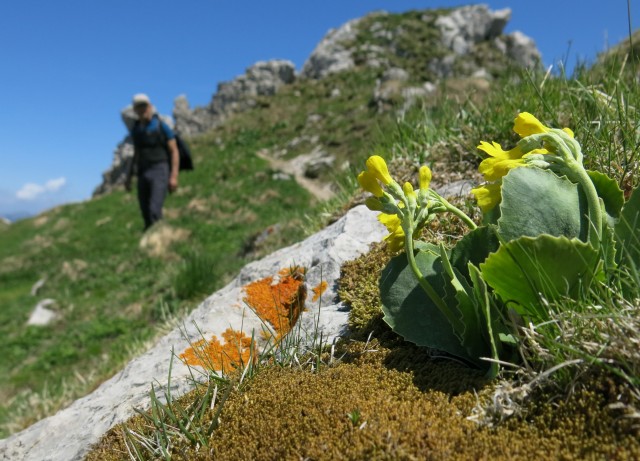 Kačji rob   09.06.2019 - foto