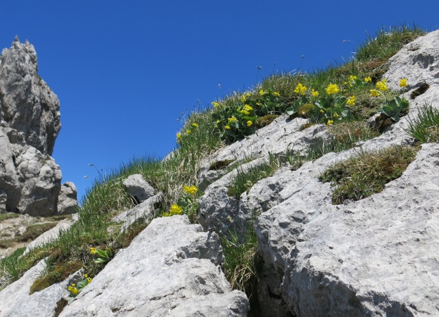Kačji rob   09.06.2019 - foto