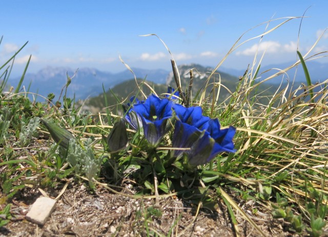Kačji rob   09.06.2019 - foto